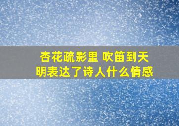 杏花疏影里 吹笛到天明表达了诗人什么情感